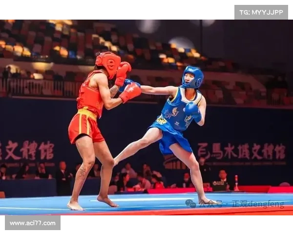 国家级散打赛事有哪些